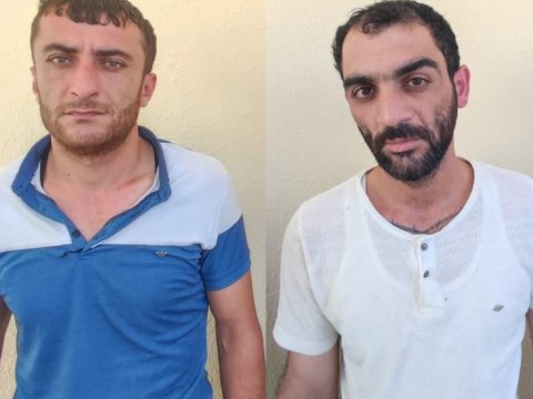 Lerikdə külli miqdarda nakotik aşkarlandı