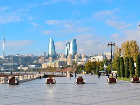 Bulvarda kaktusları yandıran şəxs ələ keçdi