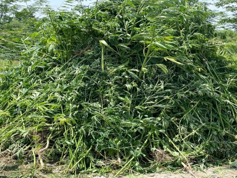 Xocavənddə narkotik əməliyyatı