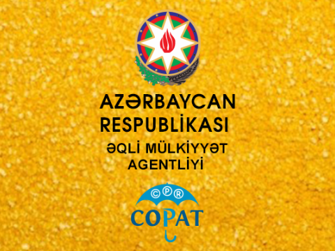 Agentliyin yeni elektron xidməti fəaliyyətə başlayıb