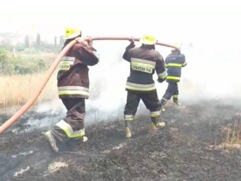Ağsuda taxıl sahəsi yandı - VİDEO