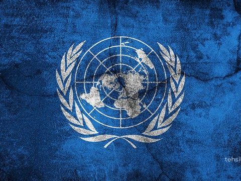 BMT sülhlə bağlı qətnamə qəbul etdi
