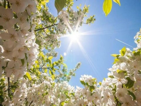 Bu gün hava necə olacaq? - PROQNOZ