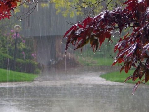 Bu rayonlarda leysan yağış yağıb - Faktiki hava