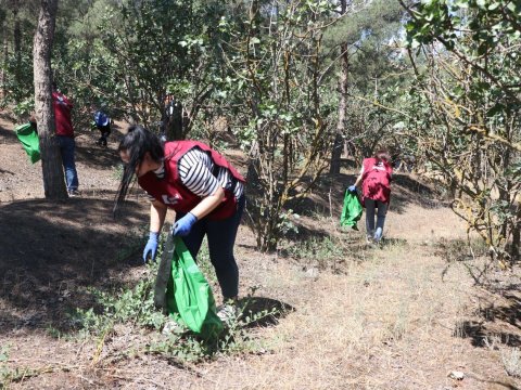 Meşələri, dəniz sahillərini, çay hövzələrini çirkləndirməyək