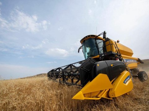 Taxıl sahələrinin 23%-də biçin başa çatıb