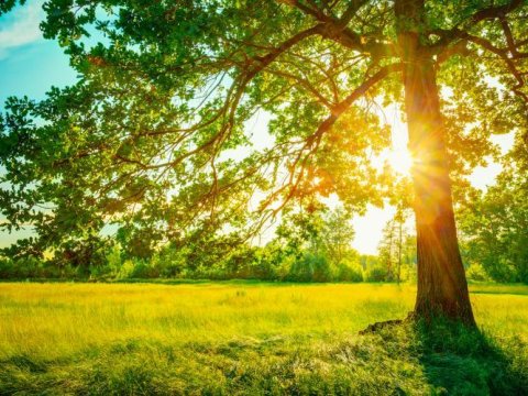 Yay Azərbaycana nə vaxt daxil olacaq?