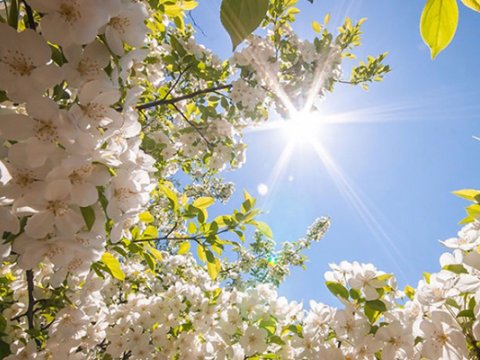 Bu gün hava necə olacaq? - PROQNOZ