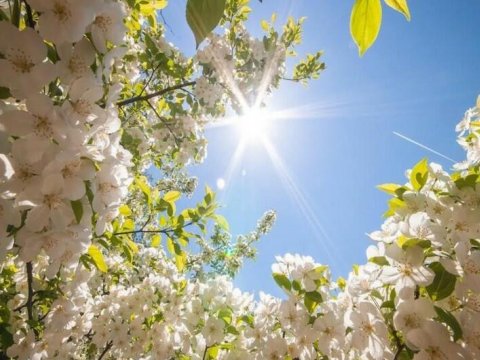 Bu gün hava necə olacaq? - PROQNOZ