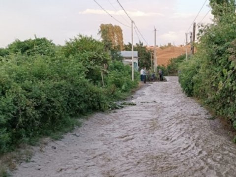 Tovuzda sel fəsadlar törətdi - FOTOLAR