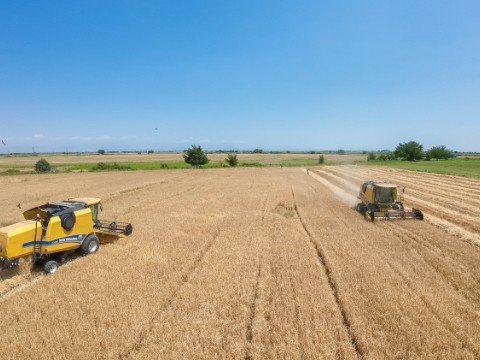 Əkin sahələrinin 26,5 faizində biçin yekunlaşıb - FOTOLAR