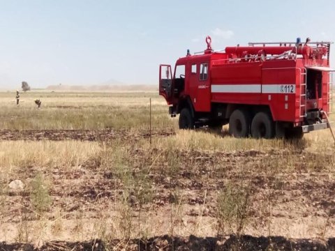 Naxçıvanda taxıl zəmisi YANDI