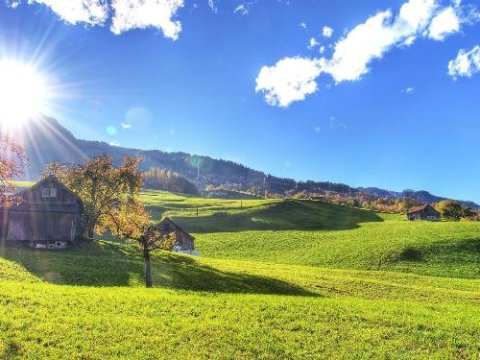 Sabah ölkəmizə yay gələcək