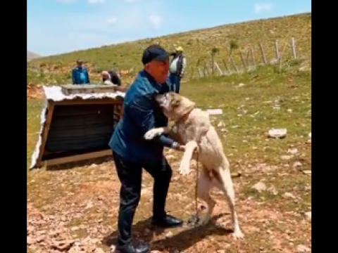 Çavuşoğlunun bu görüntüsü diqqət çəkdi - VİDEO