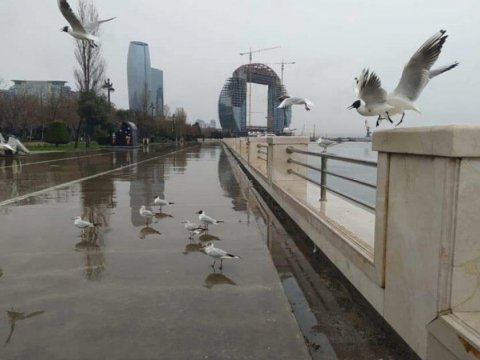 Yenə yağış yağacaq - Günün havası