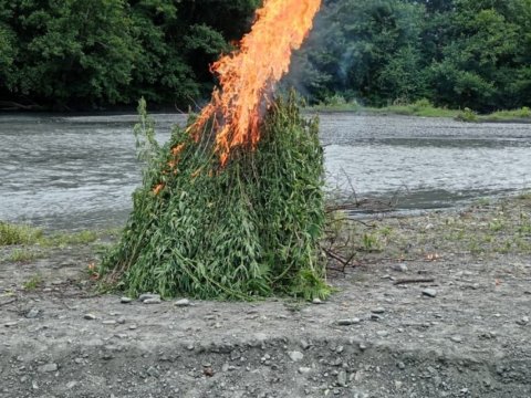 Balakəndə “Xaş-xaş” əməliyyatı