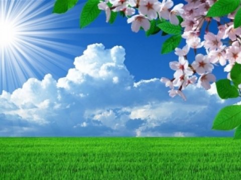 Azərbaycana yay GƏLDİ