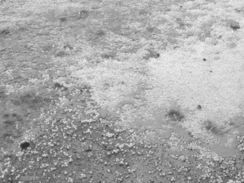 Daşkəsənə yağan dolu ciddi fəsadlar törətdi