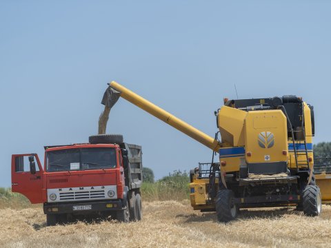 Taxıl zəmilərindən 1 milyon tondan çox məhsul yığılıb - FOTOLAR