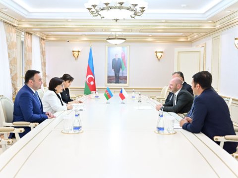 Sahibə Qafarova çexiyalı deputatlarla görüşdü