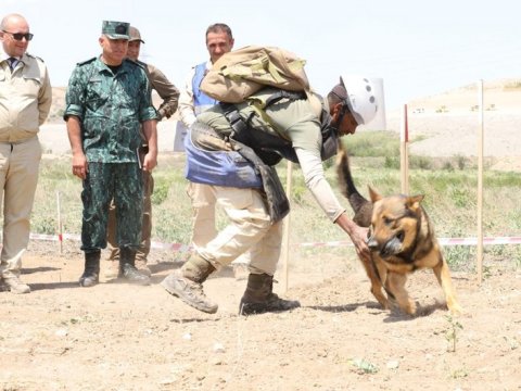 İşçi Qrup Zəngilanda TOPLAŞDI