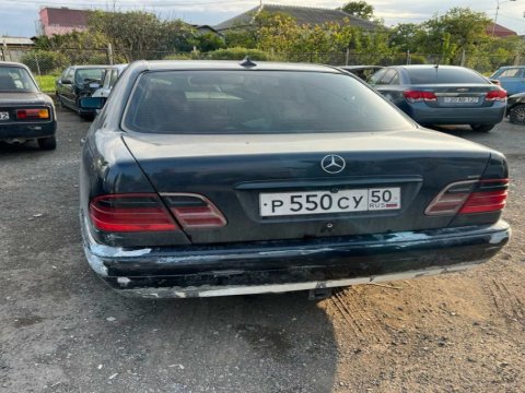 Gəncədə avtoxuliqanlıq edən şəxs HƏBS OLUNDU