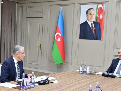 Əli Əsədov Söyüdlü ilə bağlı nazirə TAPŞIRIQ VERDİ