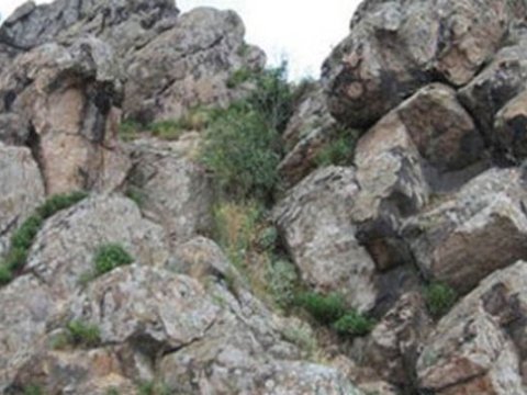 Qayalıq ərazidən meyit tapıldı 