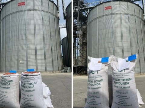 Dövlət Fondundan taxılla bağlı müraciət