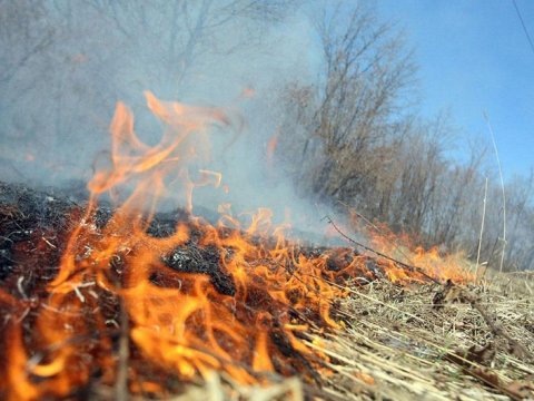 Bakıda ağaclıq sahə YANIR