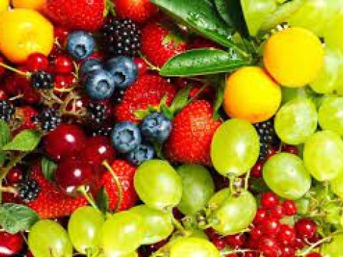 Azərbaycanda meyvə və giləmeyvə istehsalı ARTIB