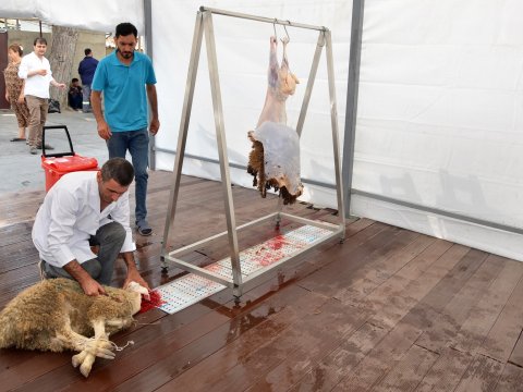 Pirallahı rayonunda qurbanlar kəsildi - FOTOLAR