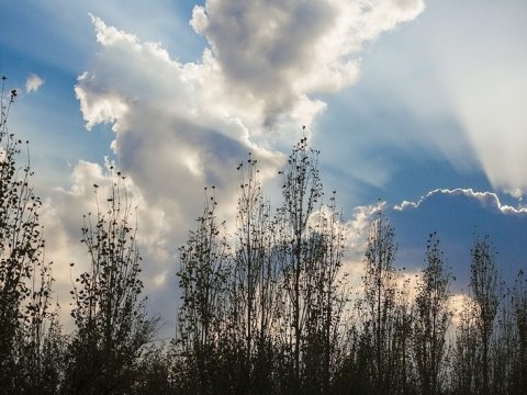 Bazar gününə olan hava PROQNOZU