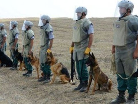 ANAMA-da işləmək istəyənlərin NƏZƏRİNƏ