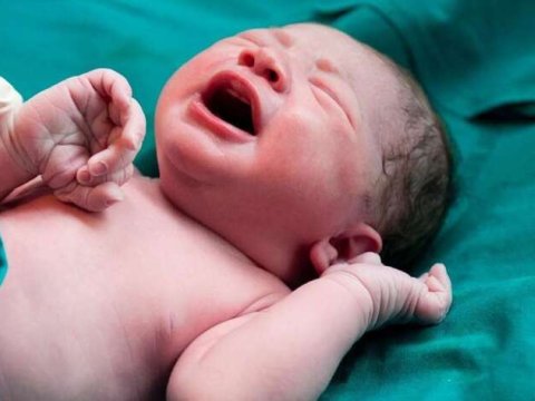 Doğuş və qeysəriyyə əməliyyatı ödənişsizdir - Agentlik