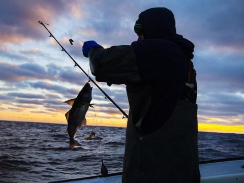 Qanunsuz balıq ovlayanlar saxlanılıb