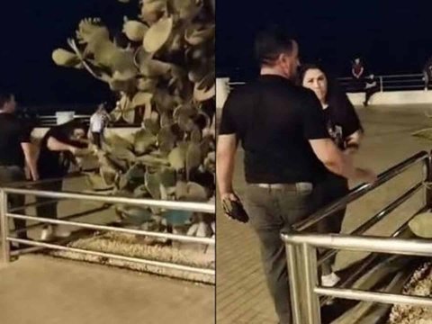 Bulvarda kaktuslara zərər vuran qadın SAXLANILDI