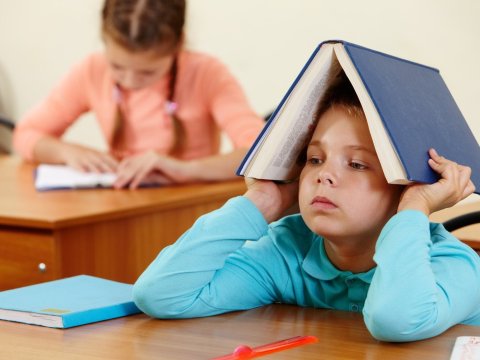 Bu rayonlarda şagirdlər Azərbaycan dilini yaxşı bilmir