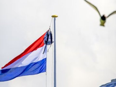 Niderlanddan Ukrayna üçün yeni YARDIM