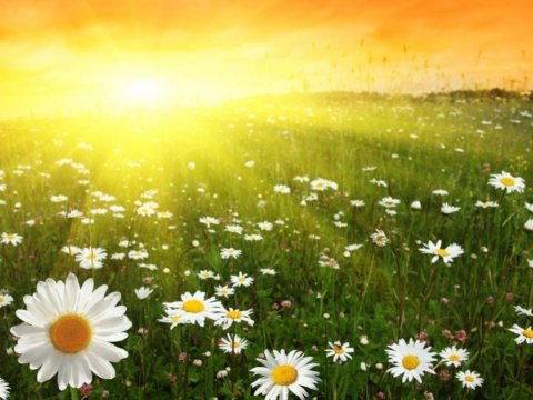 36 dərəcə isti olacaq - Günün havası