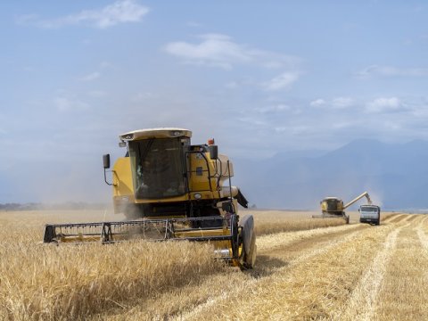 Biçin davam edir - 2 milyon tondan çox məhsul yığılıb