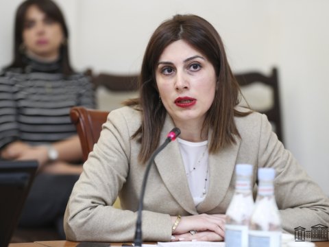 Erməni nazir qızılcaya görə qonşuları günahlandırdı