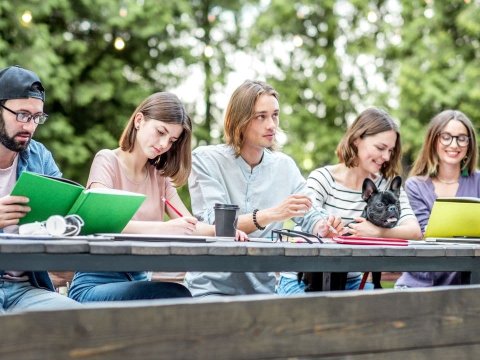 Abituriyentlər daha çox bu ali məktəblərə maraq göstərir - STATİSTİKA