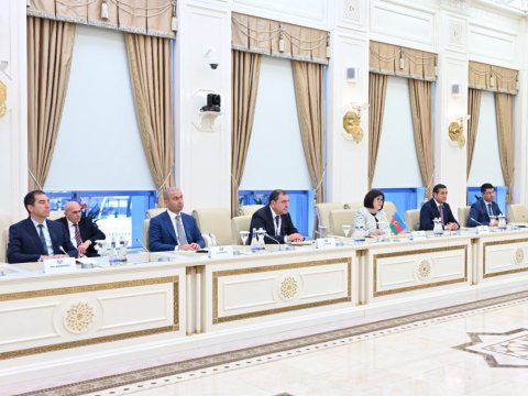 Sahibə Qafarova XİN başçısı ilə görüşdü - YENİLƏNİB