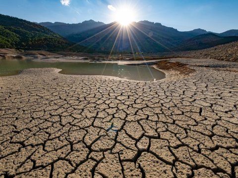 2023-ün iyunu planetin ən isti ayı olub