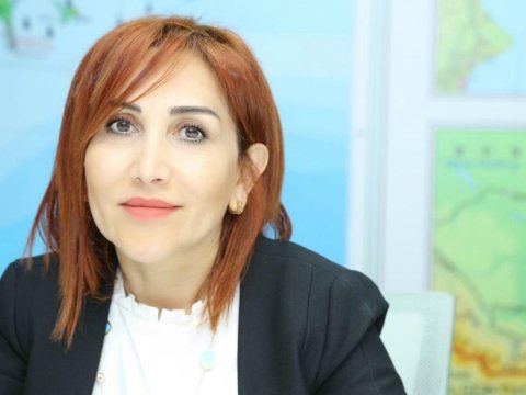 Xoşagəlməz mənzərəyə şahid oluruq - Nazirlik rəsmisi