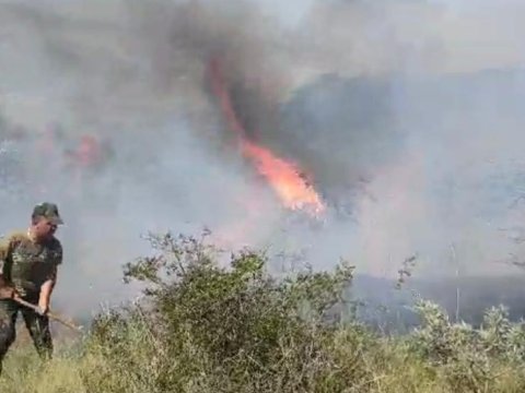 FHN Xızıdakı yanğını tam nəzarətə götürdü