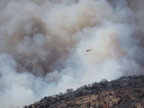 Şabrandakı yanğın məhdudlaşdırıldı - VİDEO
