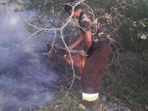 Şabrandakı yanğın tam söndürüldü - VİDEO