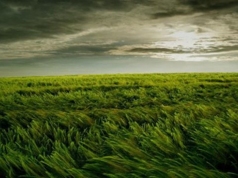 Temperatur düşəcək, güclü külək əsəcək - XƏBƏRDARLIQ